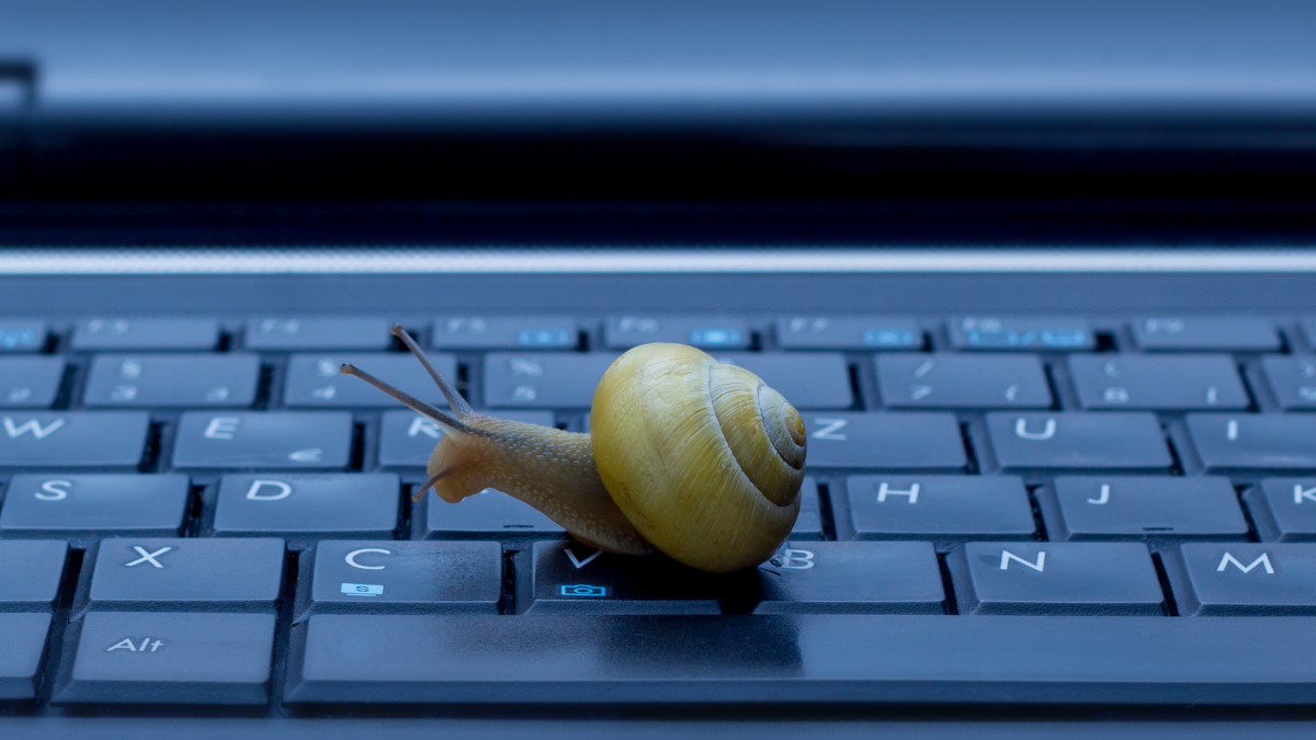 ACTIONS YOU COULD TAKE TO HELP YOUR “SNAIL” EMPLOYEE
