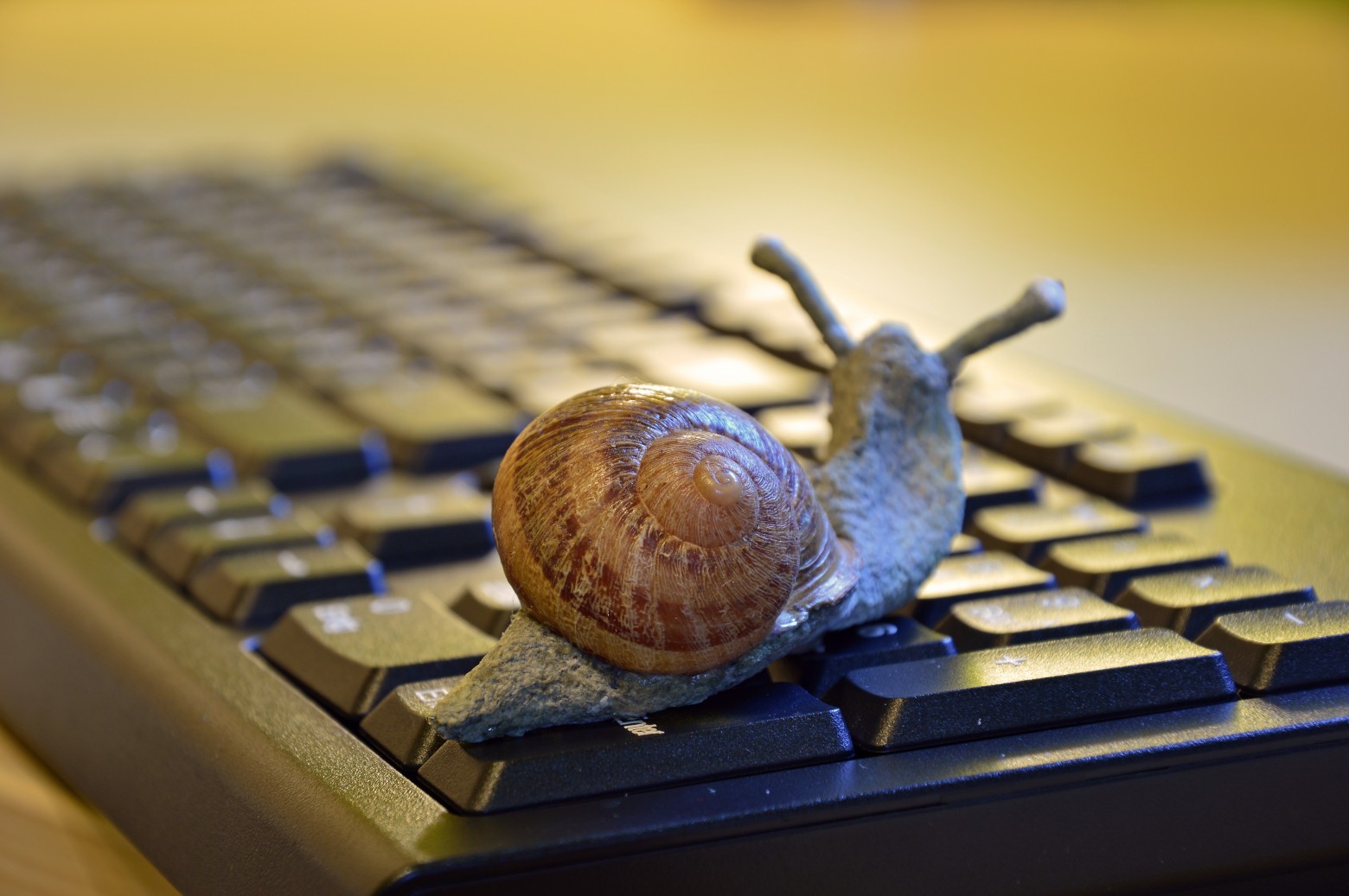 SIGNS OF “SNAIL” EMPLOYEES